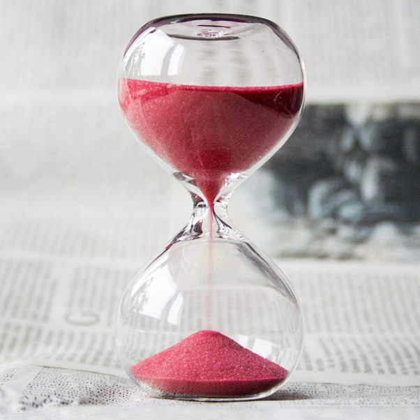 Il valore dell’attesa: nell’orto come nella vita