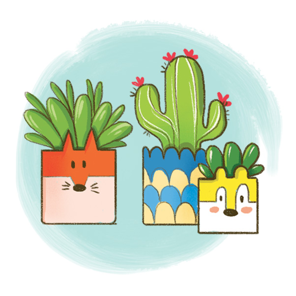 Vasetti per piantine grasse