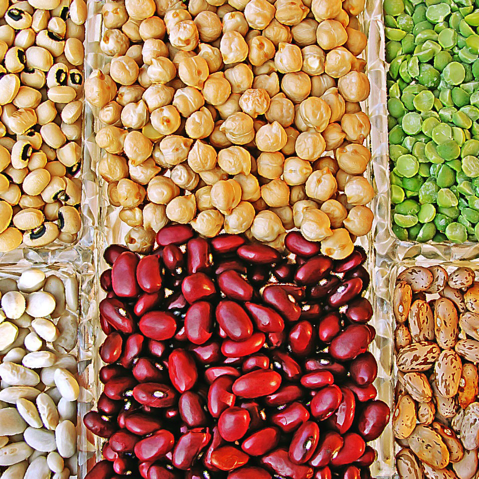 Legumi: un tesoro per noi e per l’ambiente