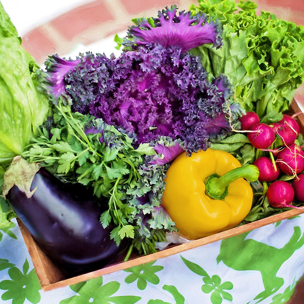 Verdura a tavola: contorno o piatto principale?