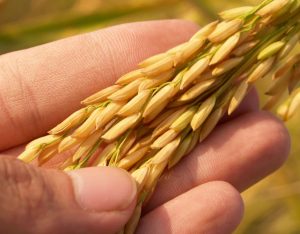 Insieme per il cambiamento - Parte 2