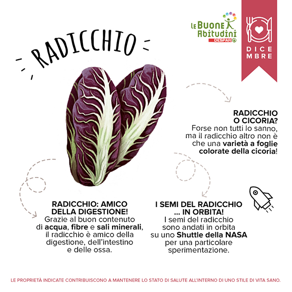 Orto-Scuola: il Radicchio