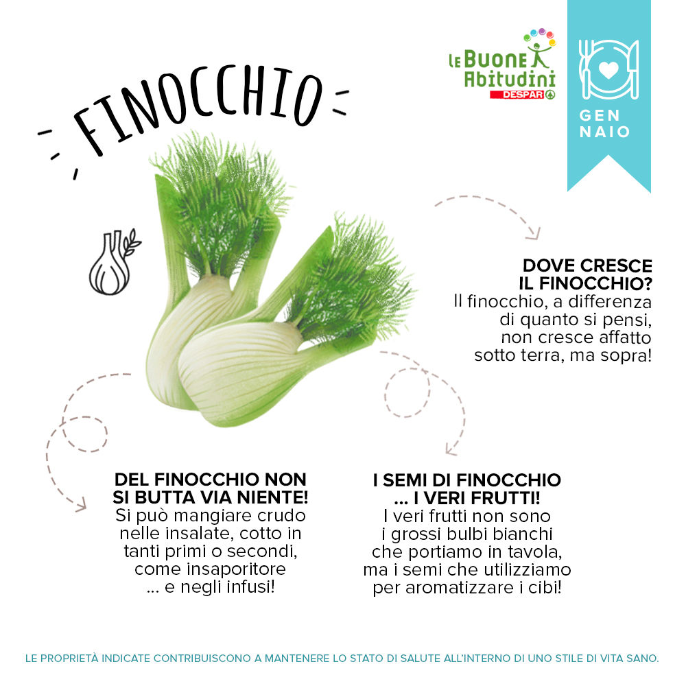 Orto-Scuola: il Finocchio