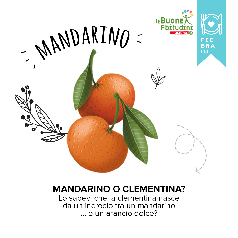 Orto-Scuola: il Mandarino
