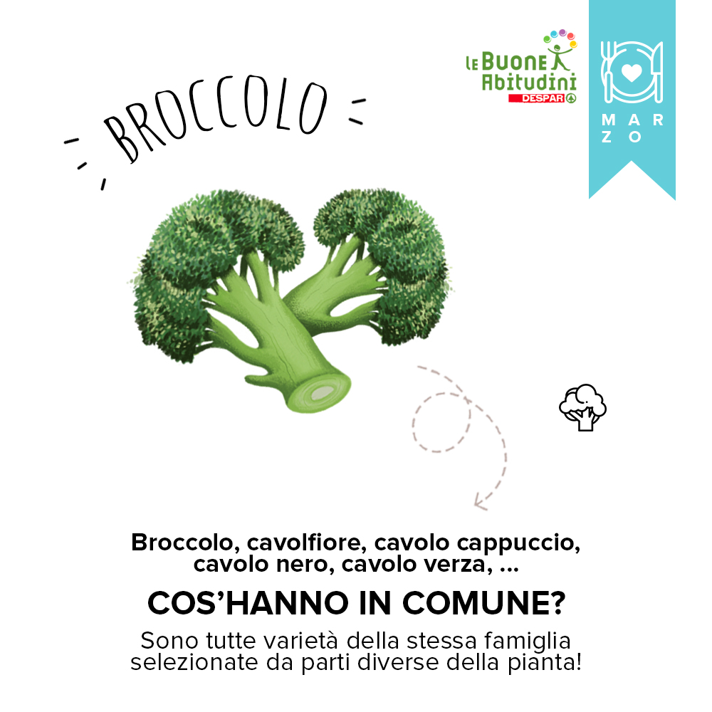 Orto-Scuola: il Broccolo