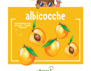 Estate a tutta salute con le albicocche!