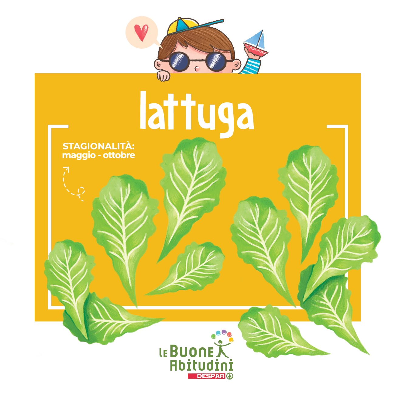 Lattuga: stagionalità, proprietà e condimenti!